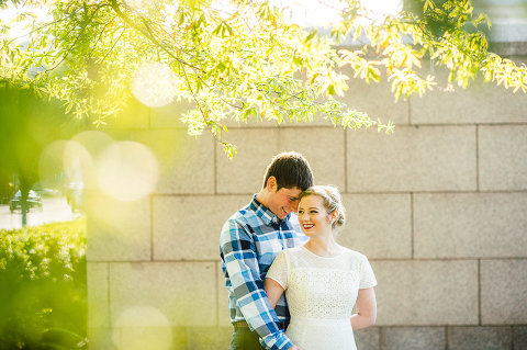smithsonian engagement national mall