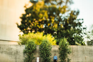 smithsonian engagement national mall