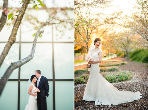 cherry blossom wedding photos