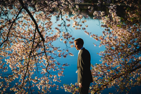 cherry blossom wedding photos