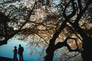 cherry blossom wedding photos