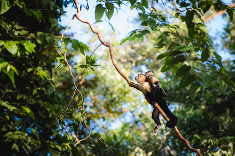 manuel antonio wedding photographer